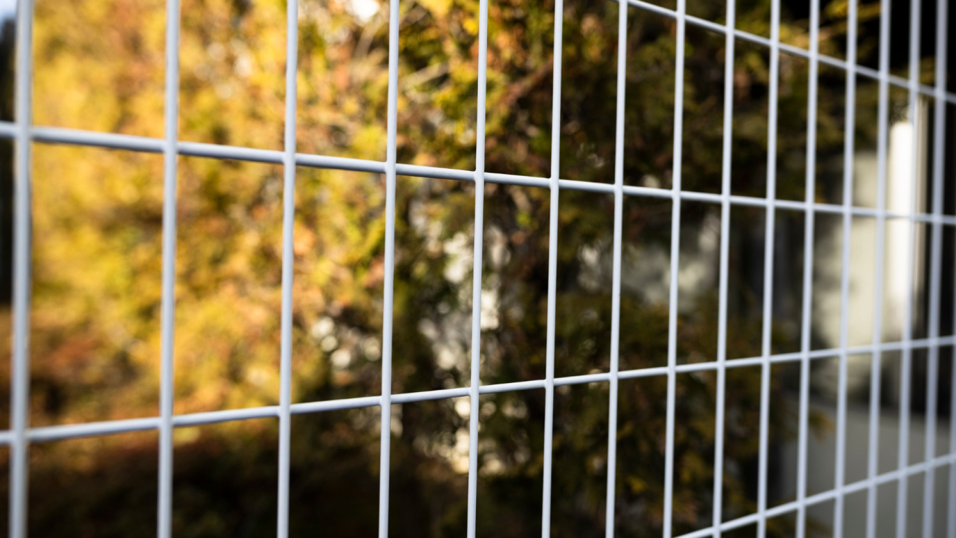 Comment bien choisir le grillage pour votre clôture ?